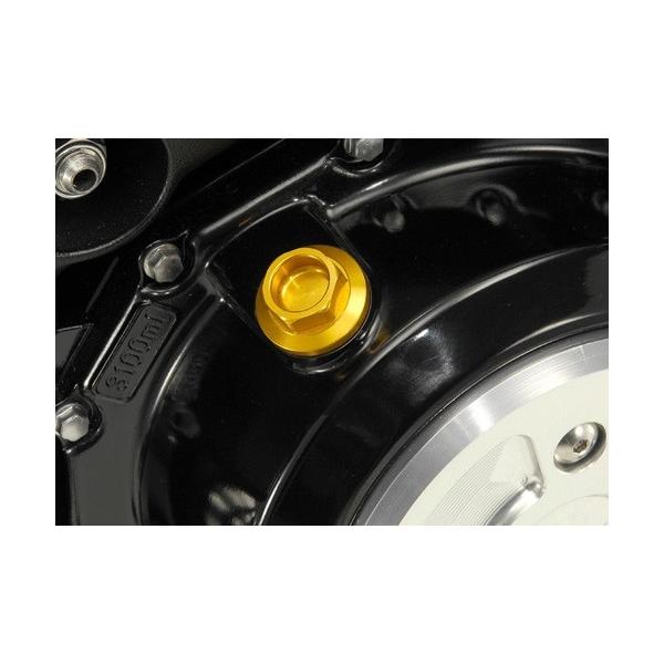 AGRAS AOX ICtB[Lbv J[Fu[ B-KING GSX1300R nuT() ofBbg1250 SUZUKI XYL tB[Lbv GWp[c