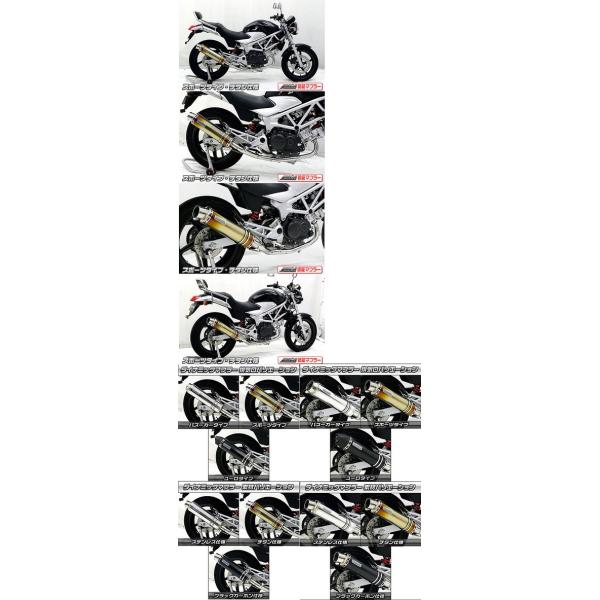 WirusWin ECYEB _Ci~bN}t[X|[c^CvJMCA VTR250 HONDA z_ tGL][Xg}t[ }t[