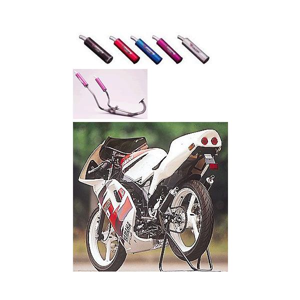 SPI スペシャルパーツイハラ ツインテール・SPチャンバー (カーボンサイレンサー) TZR50 YAMAHA ヤマハ チャンバー マフラー