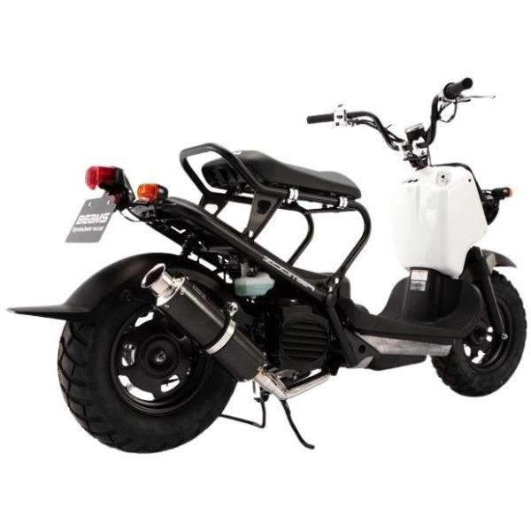 緑林シリーズ ズーマー（ZOOMER）インジェクション車 SS300カーボン