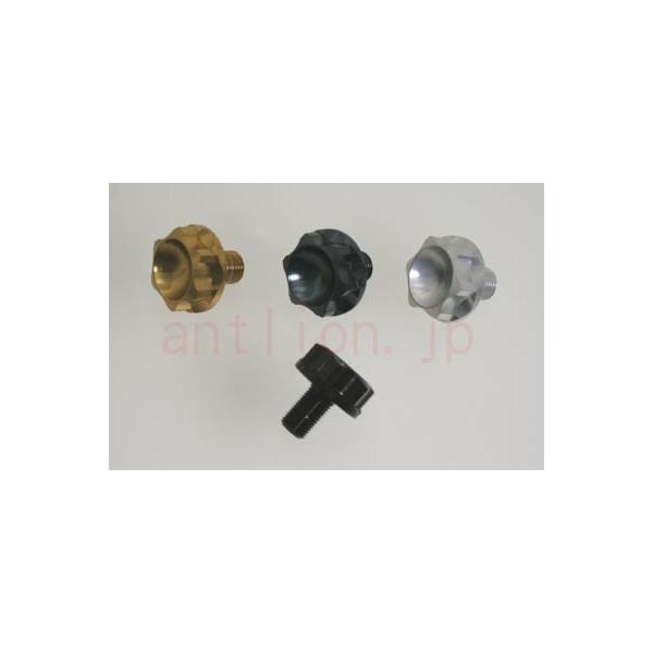 antlion AgCI Xeibg Ver.II J[F`^S[h[TG] TW225E SR500 SR400 TW200 YAMAHA }n XeibgEXe{g nh