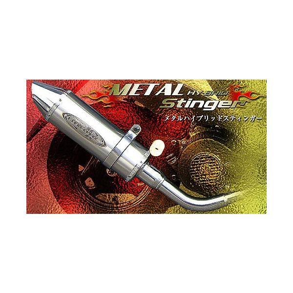 BURIAL xA ^nCubhEXeBK[ J[FVo[ X}[gDio  BITE [oCg] Z4 HONDA z_ tGL][Xg}t[ }t[