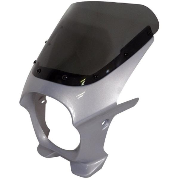 World Walk ワールドウォーク 汎用ビキニカウル【AEROタイプ】 ワールドウォーク World Walk 汎用ビキニカウル DS-01 【AERO