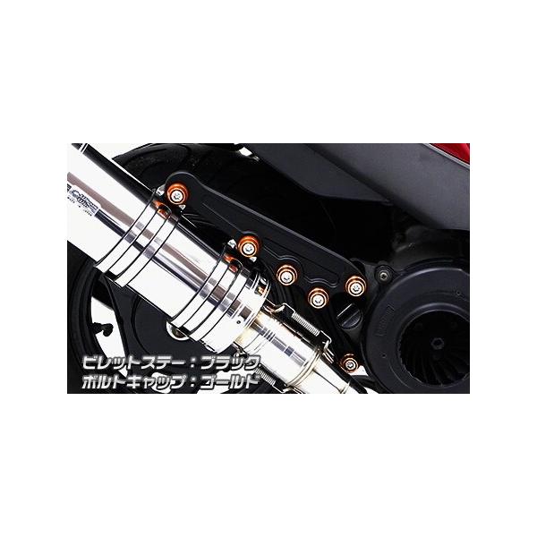 WirusWin ECYEB Ajo[T[}t[prbgXe[ ubNo[W AhXV125 SUZUKI XYL }t[Xe[ }t[