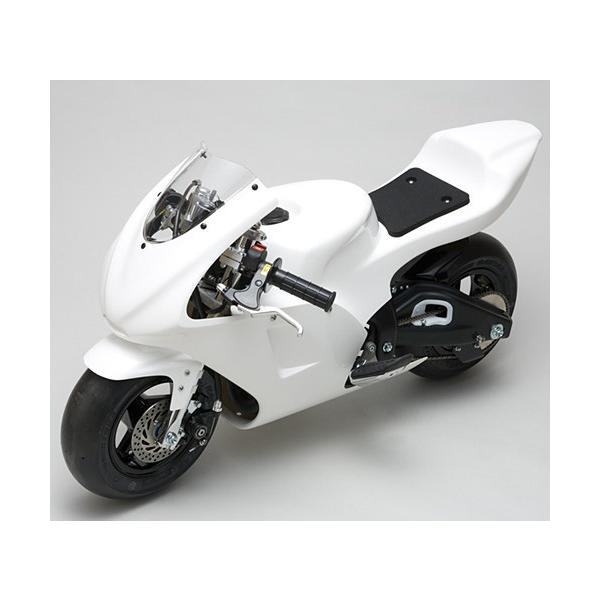 ボディ　ダイごろう品 74Daijiro ナナヨンダイジロー GP CUCCIOLO(クッチョロ) キッズ