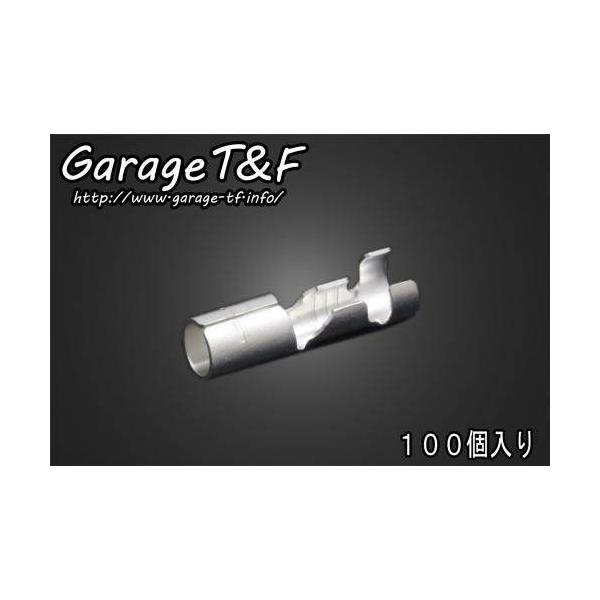 Garage T&amp;F K[W ی^M{V[q ^CvFX [qEM{V[q XCb`En[lX֌W dn