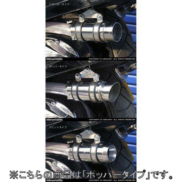 WirusWin ECYEB TCT[^GAN[i[Lbg |bp[^Cv XJCEFCu250 SUZUKI XYL GAN[i[Lbg zC֘A GW