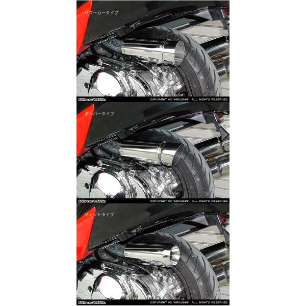 WirusWin ECYEB TCT[^GAN[i[Lbg WFbg^Cv XJCEFCu250 SUZUKI XYL GAN[i[Lbg zC֘A GW