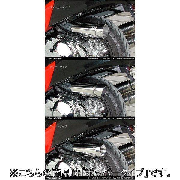 WirusWin ECYEB TCT[^GAN[i[Lbg |bp[^Cv XJCEFCu250 SUZUKI XYL GAN[i[Lbg zC֘A GW