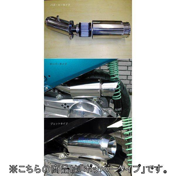 WirusWin ECYEB TCT[^GAN[i[Lbg |bp[^Cv tHc@(MF06) HONDA z_ GAN[i[Lbg zC֘A GW