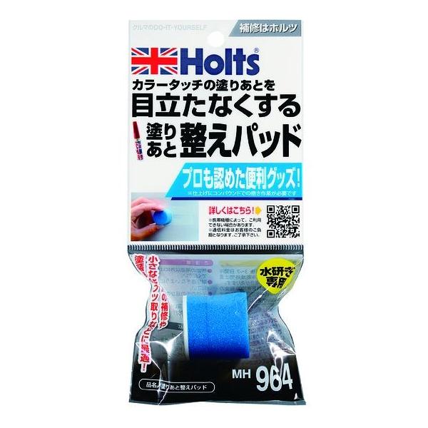 Holts zc h肠Ɛpbh RpEhE h֘A P~J