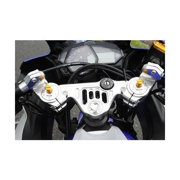 AGRAS AOX gbvubWnhZbg [X^Cv YZF-R25 YZF-R3 YAMAHA }n gbvubW nhӃp[c nh