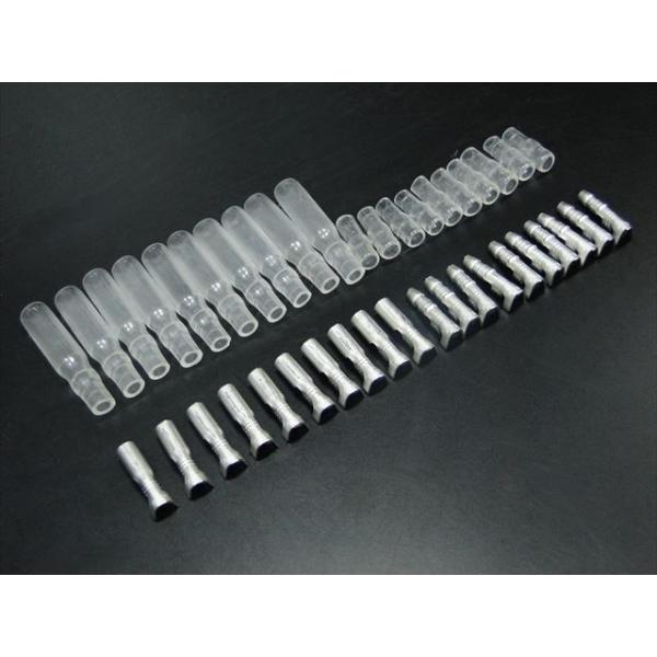 BRC r[A[V[ ^ۃM{V [qEM{V[q XCb`En[lX֌W dn