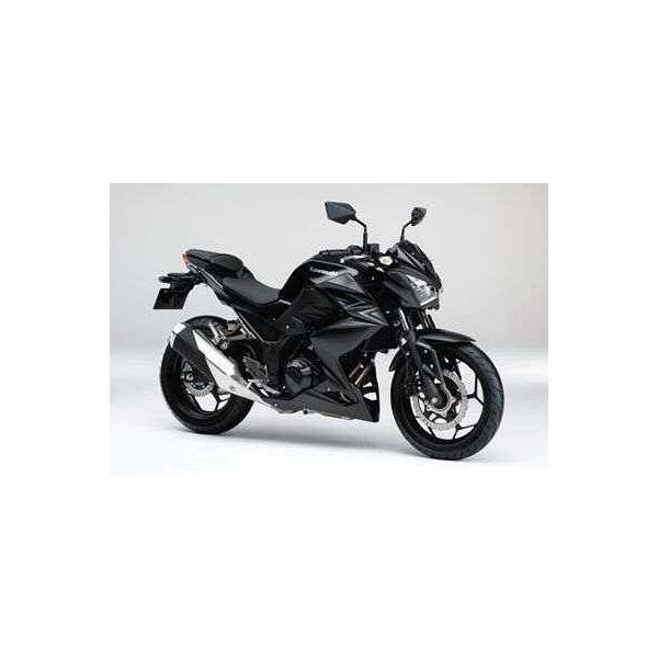 カワサキ（Kawasaki） シングルシートカバーキット Z250 (2013