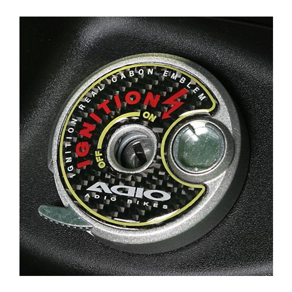 ADIO AfBI L[V_[Gu J[FubN }WFXeBS (SED8J) (SEA5J) (SG28J) (SE44J) (28S) (1YP) VOiXX (5^) (4^) (3^) (2^)