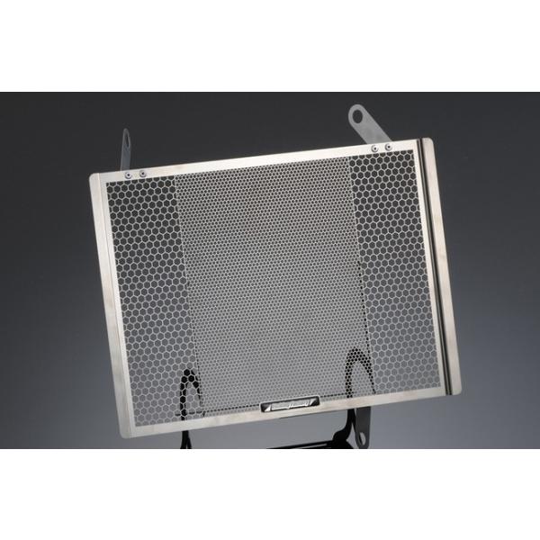 ETCHING FACTORY �G�b�`���O�t�@�N�g���[ Streetfighter�p ���W�G�^�[�K�[�h Upper STREETFIGHTER [�X�g���[�g�t�@�C�^�[] DUCATI �h�D�J�e�B ��p�֘A