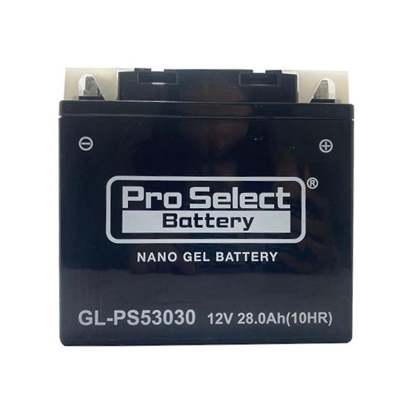 他サイト： Pro Select Battery プロセレクトバッテリー BMW専用ジェルバッテリー【GL-PS53030】 鉛系バッテリー バッテリー関連の商品画像