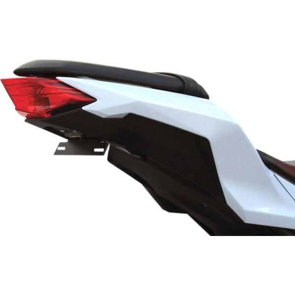 TARGA �^�[�K �e�[���L�b�g X-TAIL���f�� EX300 �yTAILKIT X [2030-0748]�z EX300R Ninja 300 2013 - 2016 KAWASAKI �J���T�L �t�F���_�[���X�L�b�g �O��