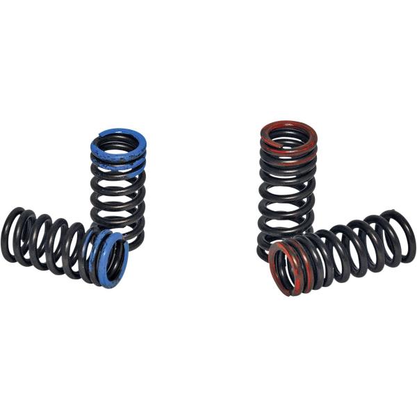 XCELDYNE GNZ_C VALVE SPRING KIT [0926-1080] CRF250R HONDA z_ ouXvO GWp[c GW