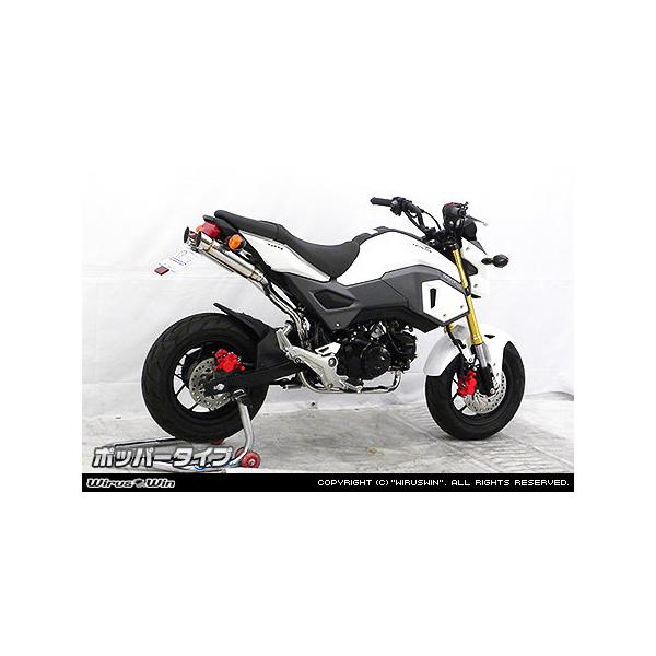 WirusWin（ウイルズウィン） アトミックツインマフラー タイプ