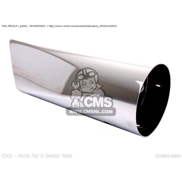 CMS V[GGX TAIL PIECECR HONDA z_ }t[K[hEq[gK[h }t[