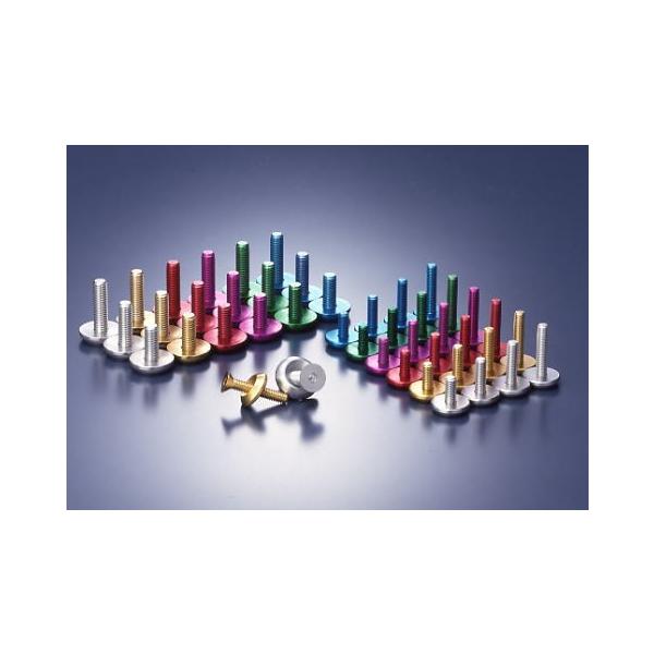 RC-ENGINEERING RCGWjAO Tc{J[ J[Fbh / TCYF20×6^M6×20 tH[NICV[ TXyV 