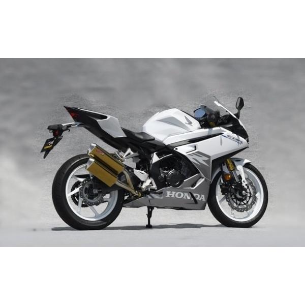 YAMAMOTO RACING（ヤマモトレーシング） SPEC-A SLIP-ON TWIN チタン 2