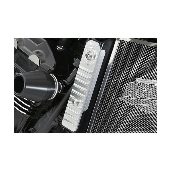 Agras AGRAS アグラス ラジエターサイドカバー カラー：チタン Z900RS