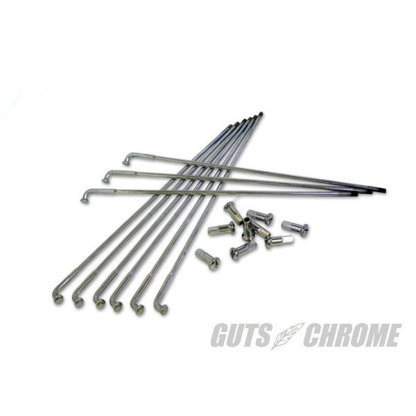 GUTS CHROME KbcN[ yWWz19C`RxVi X|[NZbg HARLEY-DAVIDSON n[[_rbh\ X|[NEjbv zC[֘A