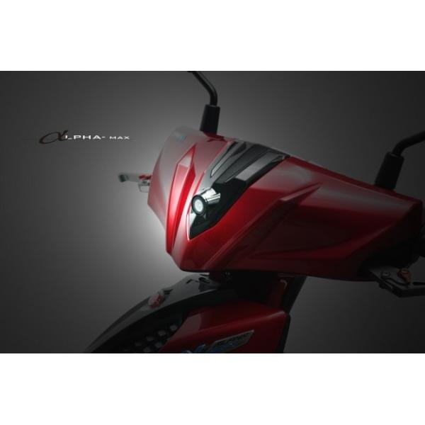 PGO s[W[I[ _bVJ ALPHA MAX  hCuR[_[ oCNpJ dq@