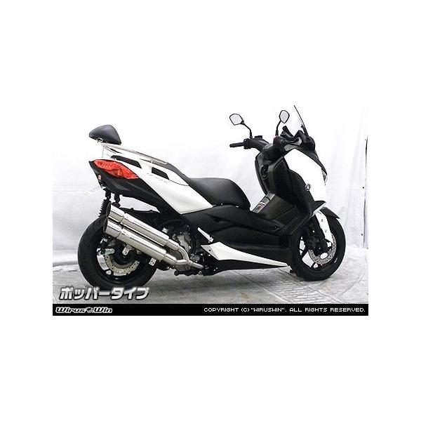 WirusWin（ウイルズウィン） スタイリッシュツインマフラー タイプ