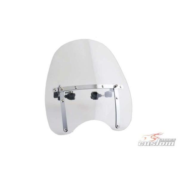 CUSTOM ACCES JX^ANZX DAYTONA IV EChXN[ G~l[^[250 KAWASAKI JTL XN[ O