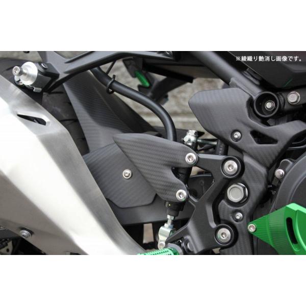 SPEEDRAカーボンヒールプレート kawasaki ninja250/400 SPEEDRA（スピードラ） ヒールプレート 左右セットドライカーボン