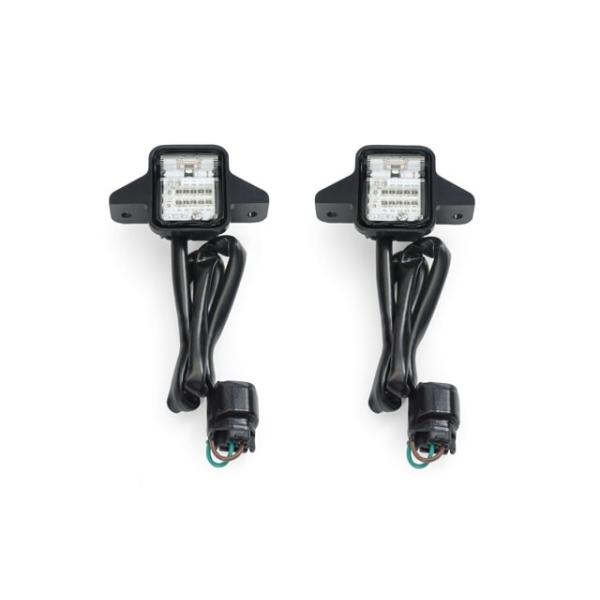 HONDA z_ LEDGg[Cg GoldWing Gold Wing Tour 50th ANNIVERSARY ̑Η Η dn