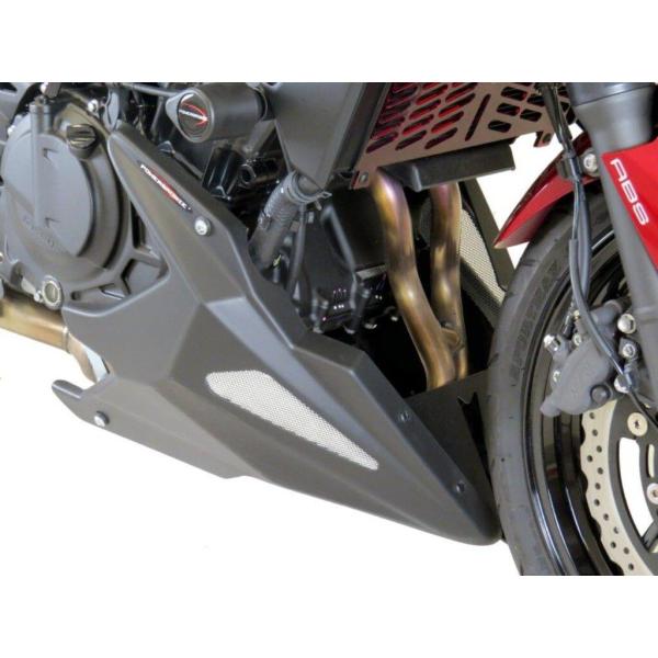 POWERBRONZE アンダーカウル カラー：ブラック／ブラックメッシュ Z250