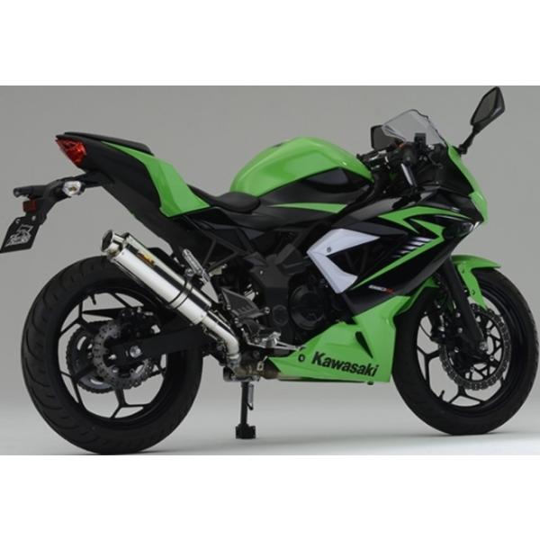 Realize ACY Aria(AA)XbvI XeX}t[ ^CvFType-C(J[Gh) Ninja 250 SL KAWASAKI JTL XbvI}t[