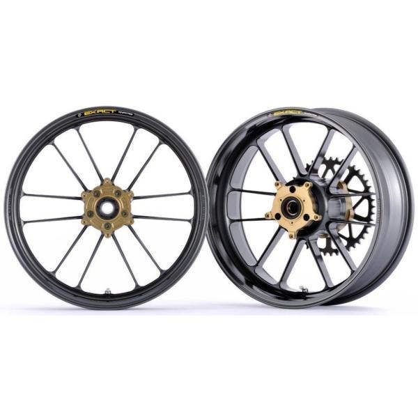 ADVANTAGE（アドバンテージ） EXACT[イグザクト] RACING 10 フル鍛造