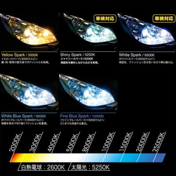DELTA DIRECT f^_CNg HID-LU CeBOjbg FxFzCgu[Xp[N^9500k 200nnCG[X HIDLbg Η dn