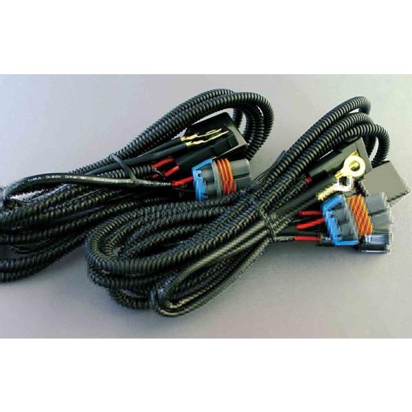 DELTA DIRECT f^_CNg yIvVz H^L [n[lX 200nnCG[X ̑n[lX XCb`En[lX֌W dn