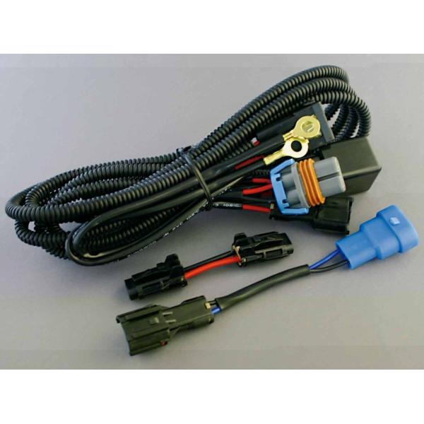 DELTA DIRECT f^_CNg yIvVz H^L d[Lbg 200nnCG[X ̑HIDIvVECi Η dn