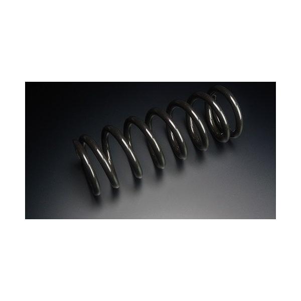 TGR TECHNIX GEAR TGRテクニクスギア ハードスプリング リア D