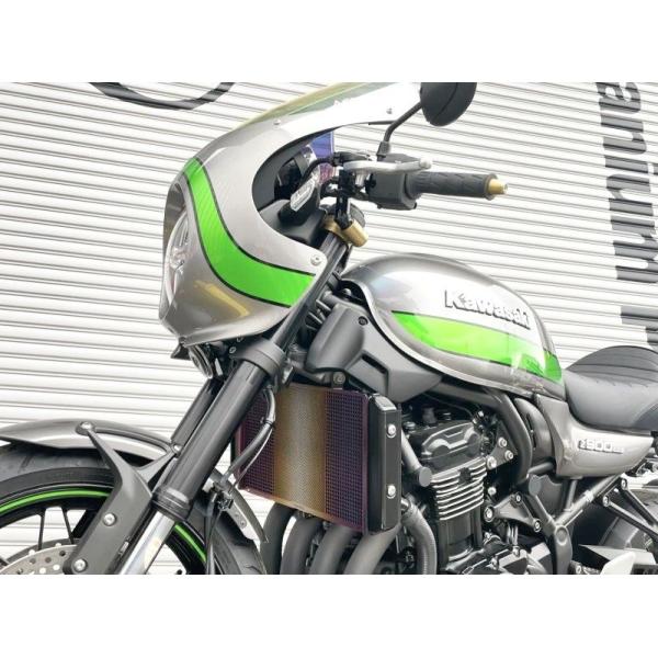 Titanium Power チタニウムパワー チタン ラジエターコアガード カラー