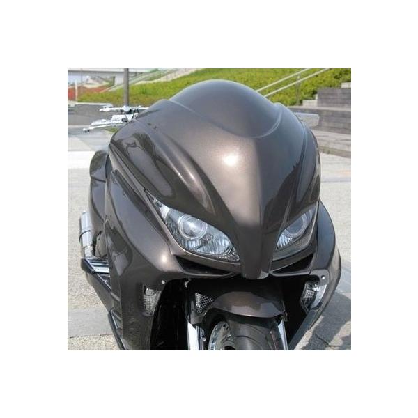 VIVIDPOWER ビビッドパワー フロントフェイス FORZA フォルツァX