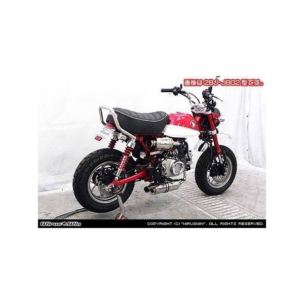 WirusWin �E�C���Y�E�B�� �t�F���_�[���X�L�b�g �^�C�v2 �����L�[125 HONDA �z���_ �t�F���_�[�֘A �O�� ���i�摜2