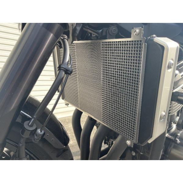 Z900RS チタニウムパワー　チタンメッシュラジエターコアガード Titanium Power チタニウムパワー チタンラジエターコアガード カラー