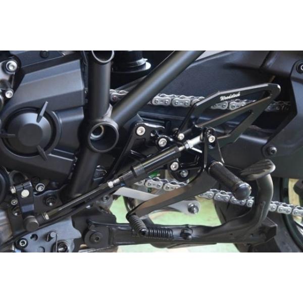 WOODSTOCK EbhXgbN t`FWLbg J[FVo[ Ninja H2 SX SE KAWASAKI JTL ̑XebvIvVECi Xebv 