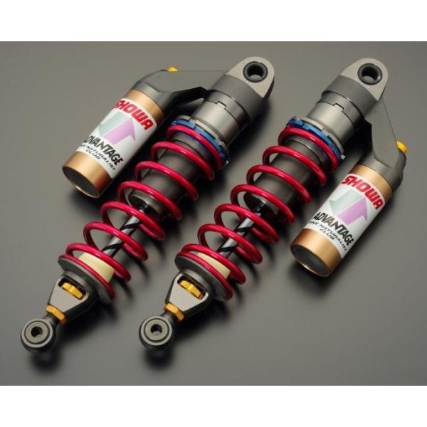 ADVANTAGE（アドバンテージ） SHOWA[ショーワ] RS リアサスペンション