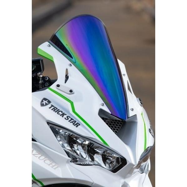 TRICKSTAR スクリーン(スモーク)(ロゴなし) zx25R 4R 適合 TRICKSTAR スクリーン(スモーク)(ロゴなし) zx25R 4R 適合