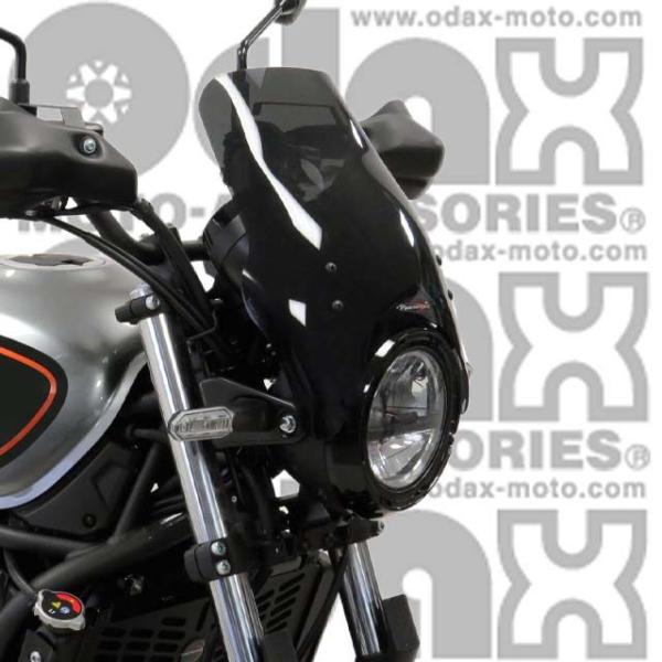 Z650RS ビキニカウル 純正色 メタリックムーンダストグレー マウントボルト Z650RS ビキニカウル 純正色 メタリックムーンダストグレー