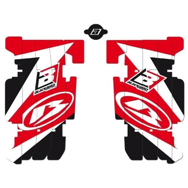 Blackbird Racing ubNo[h[VO WG[^[XN[v  Dream 3 Beta AB01E RR 250 2T ENDURO 300 350 4T 390 430 450 480 BETA x[^ O